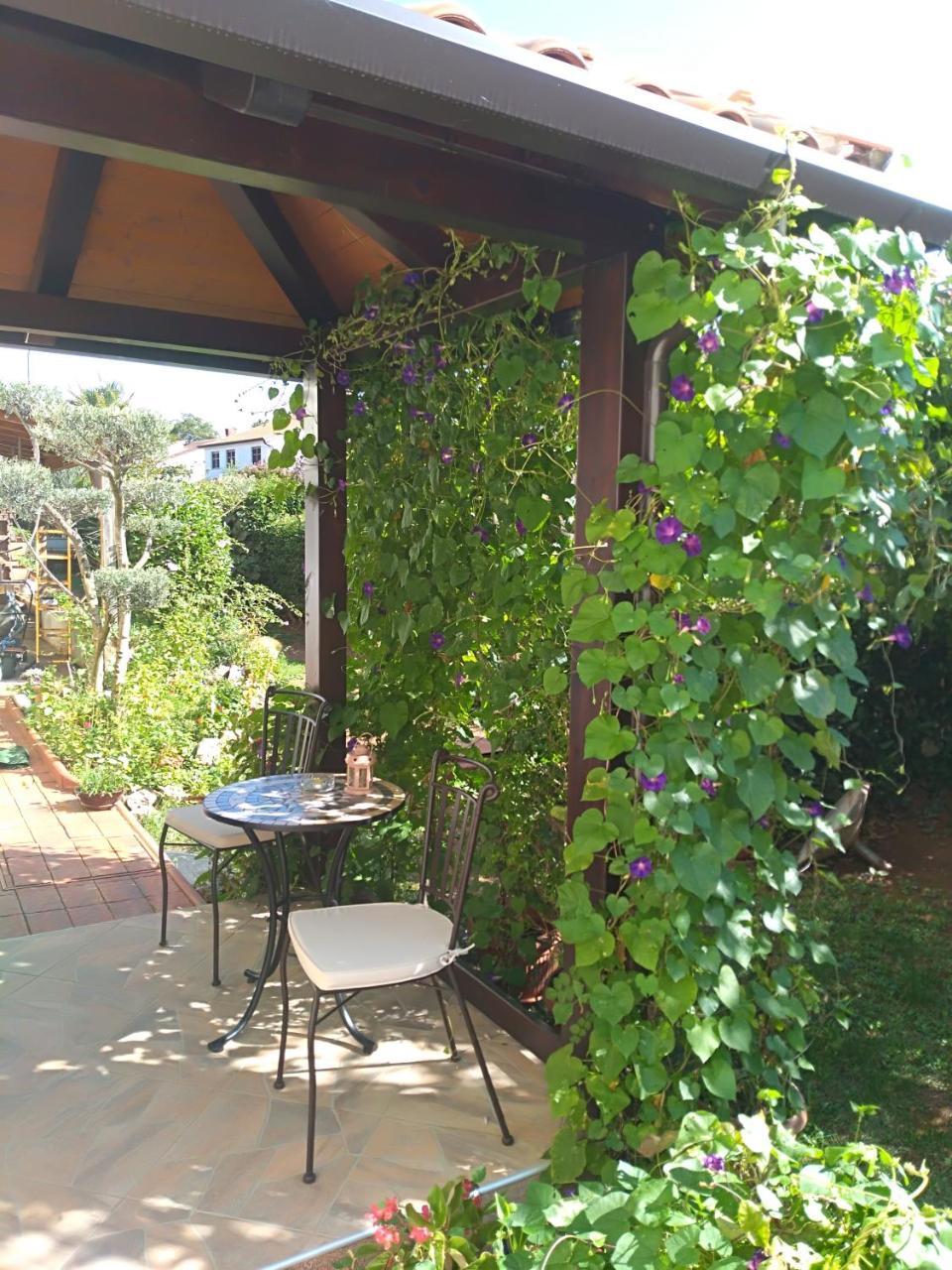 Apartment Jasna Poreč Dış mekan fotoğraf